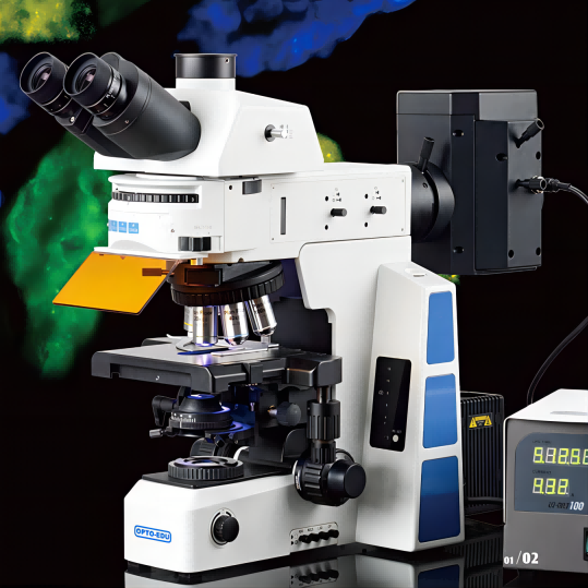 Research type fluorescence microscope