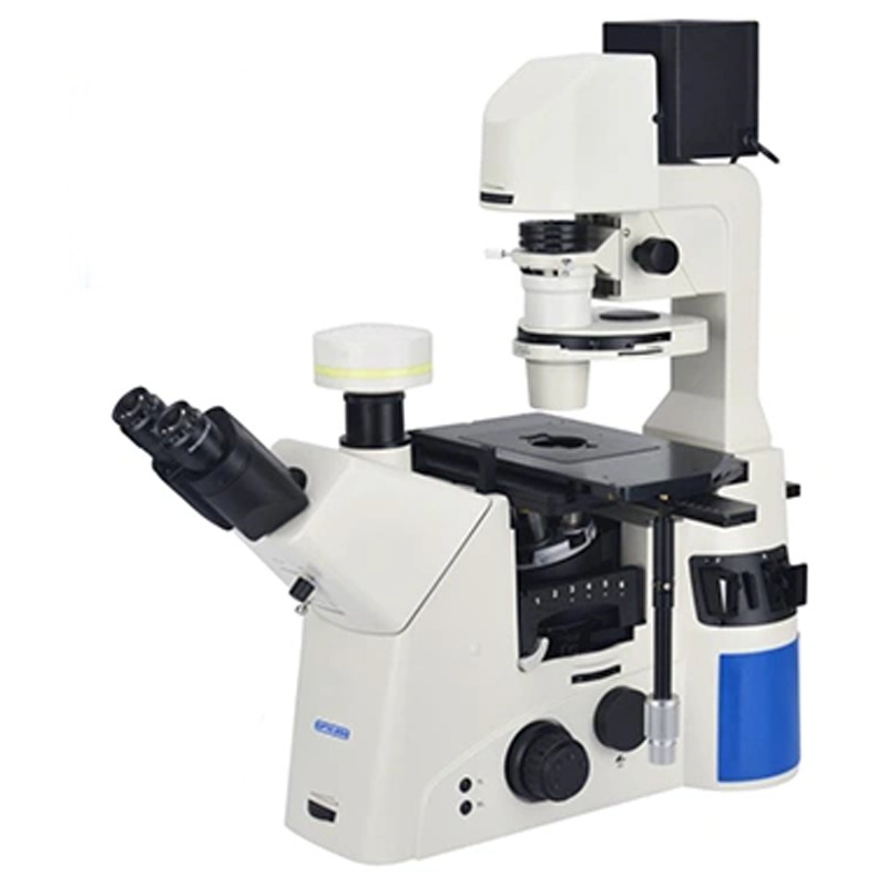 Inverted fluorescence Microscope